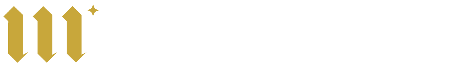 Mentorisers